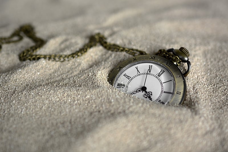 Time traveler